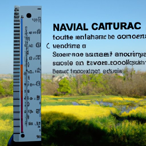 Measuring the Value of Natural Capital