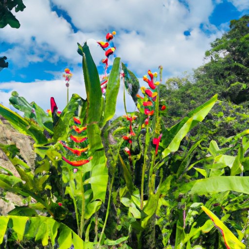 Exploring the Best Time of Year to Visit Jamaica