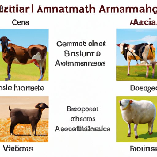 A Comparison of Animal Science and Animal Husbandry: Benefits and Challenges