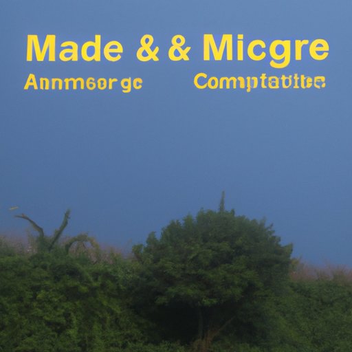 Exploring the Contrasts: Comparing Medicare Advantage vs. Medigap Plans