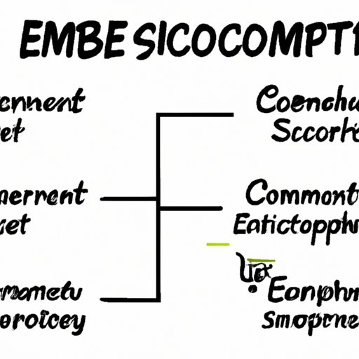 An Overview of the Benefits of eCommerce