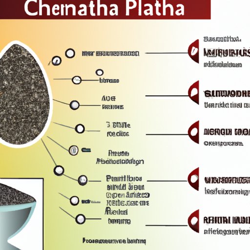 Overview of the Nutritional Benefits of Chia Seeds