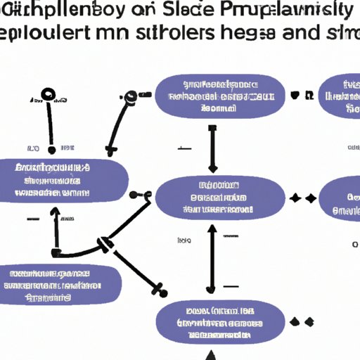 Exploring the Benefits of Popular Supply Chain Design for Efficiency