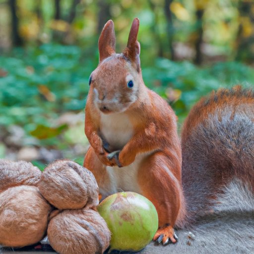 The Nutritional Value of Nuts for Squirrels