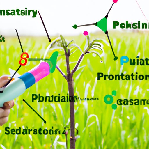 Studying Influence of Plant Hormones