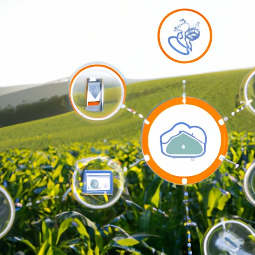 Smart Farming: The Advantages of IoT in Agriculture