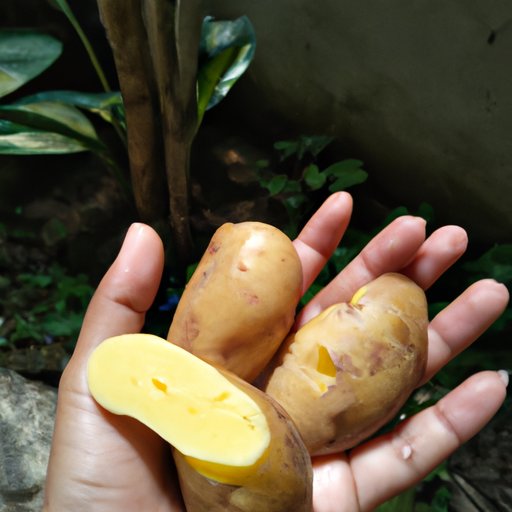 The Health Benefits of Eating Potatoes