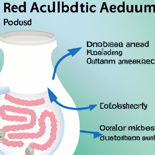 Understanding the Role of Probiotics in Managing Acid Reflux