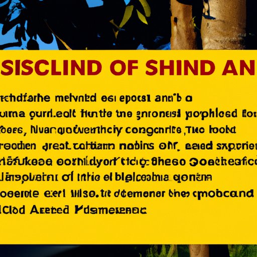 Understanding the Process: How and When Schools Disburse Financial Aid