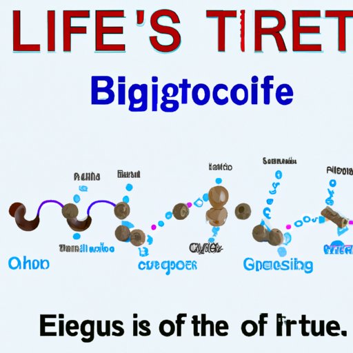 Examining the Scientific Definition of When Life Begins
