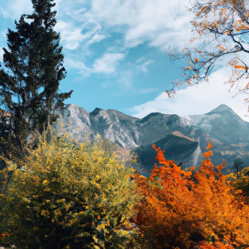 Exploring the Different Seasons in Europe and Their Unique Characteristics