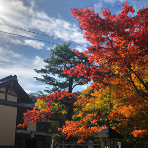 Exploring the Seasons of Japan – A Guide to When is the Best Time to Travel