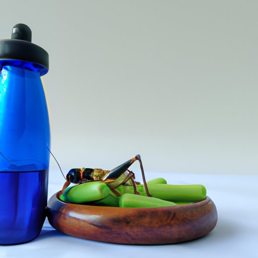 The Benefits of Nutrition for Cricket Fitness