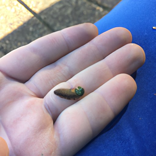 Evaluating the Impact of Technology on Human Reproduction