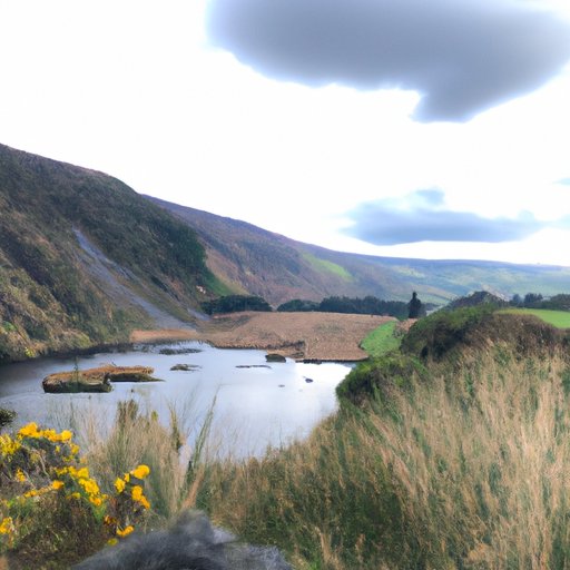 Best Times to Visit Ireland