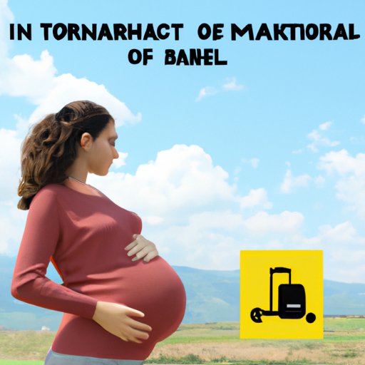 Understanding the Risks of Traveling While Pregnant