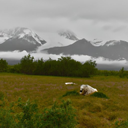 The Pros and Cons of Visiting Alaska at Different Times of Year