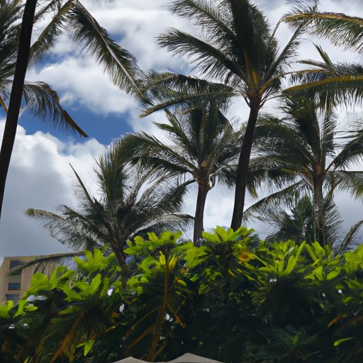 Enjoying the Weather in Hawaii at Different Times of Year