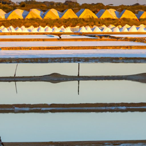 An Overview of the Different Methods of Salt Production