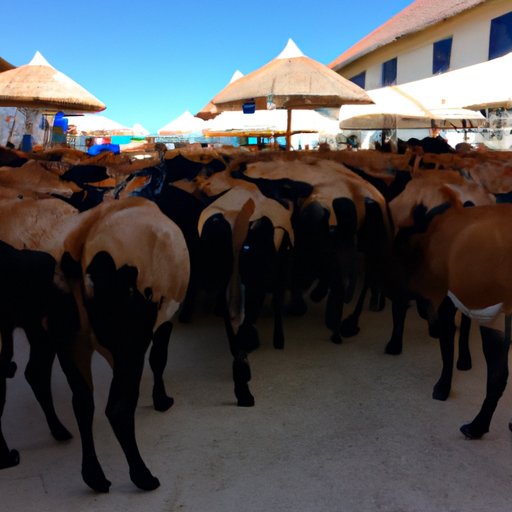 Assessing the Potential of Herd Immunity to Contribute to a Return to Normalcy