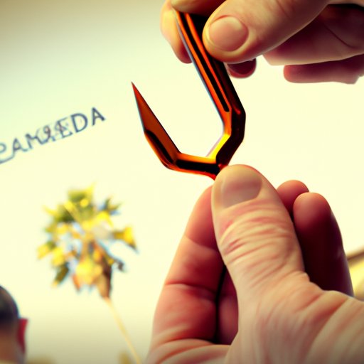 Examining the Security Measures When Buying Kadena Crypto