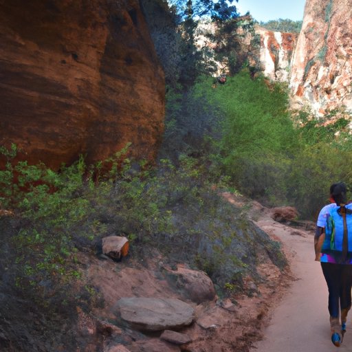 Exploring Nature: Hiking Trails Around the World