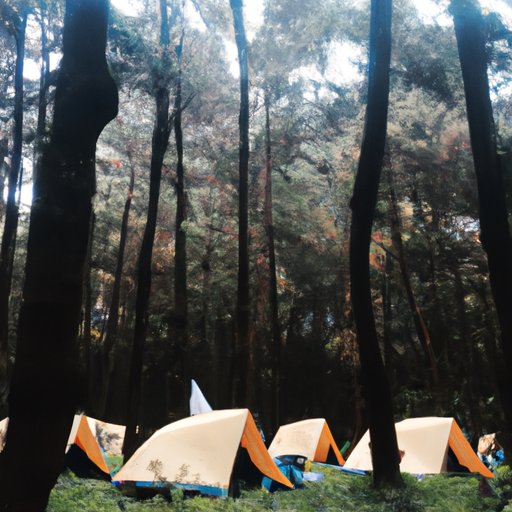 Camping: Get Back to Nature