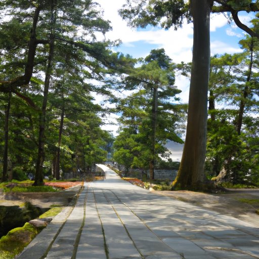 Sightseeing Tour of Filming Locations