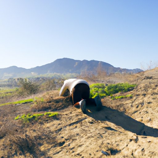 Investigating the Southern California Landscape of Sleeping Freshmen Never Lie