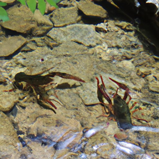 Critical Reception of Where the Crawdads Sing