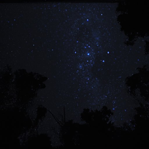 Analyzing the Cinematography of Where the Forest Meets the Stars