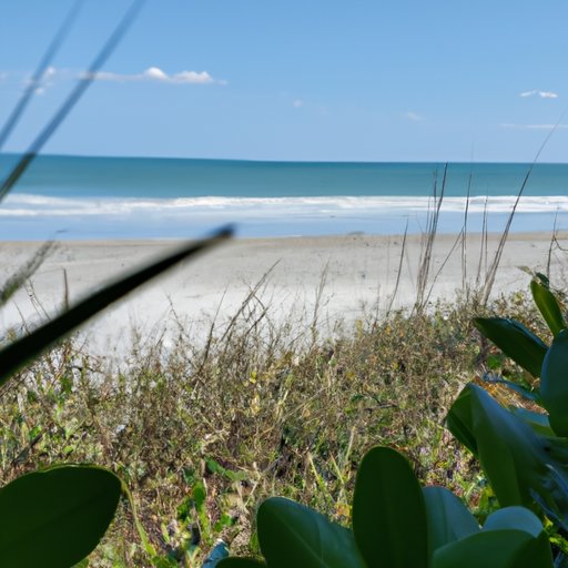Reasons to Visit Cocoa Beach