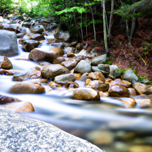 How to Find the Perfect Vacation Stream That Fits Your Budget