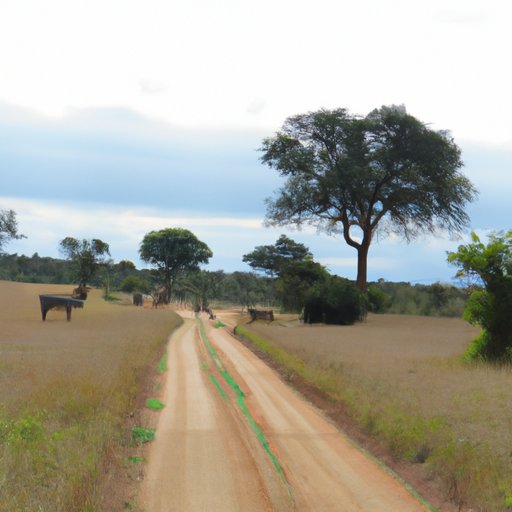 Taking a Journey Through the Diverse Landscape of Africa