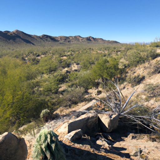Exploring the Deserts of Arizona