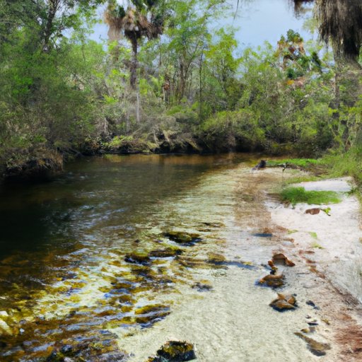 Discovering the Natural Wonders of Florida