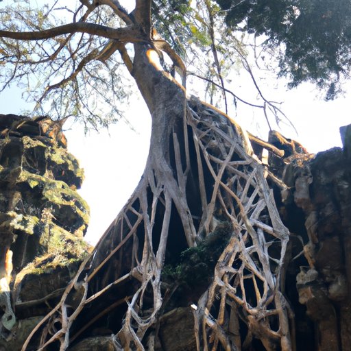 Discovering the Magic of Southeast Asia in January