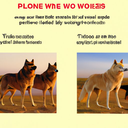 The Pros and Cons of Watching Dances with Wolves on Different Services