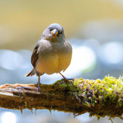 Stream Finch on Amazon Prime Video