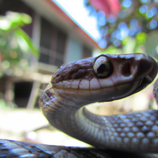 Watch Venom on Cable or Satellite TV