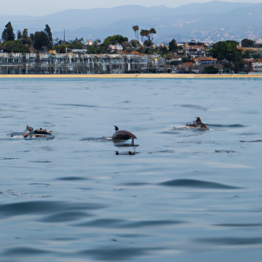 Revisiting the Iconic Sites Where Flipper Was Filmed