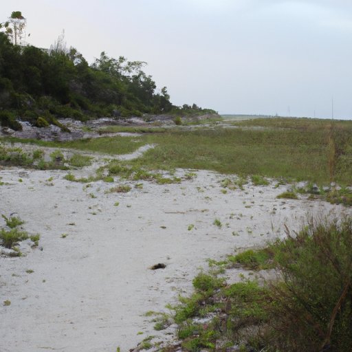 A Behind the Scenes Look at Where Catch and Release was Filmed