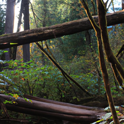 Revisiting the Sites Where Twilight Was Brought to Life