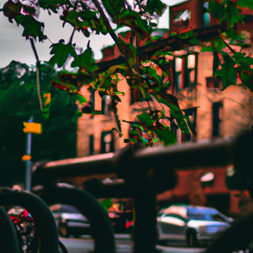 Exploring the Neighborhoods of My City: What Each Area Has to Offer