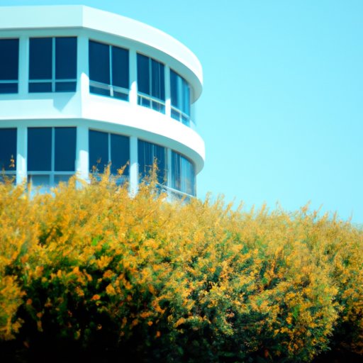 Investment Strategies for TSP Funds: Maximizing Returns