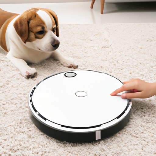 Reviews of Popular Robot Vacuum Models