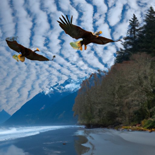 Examining the Impact of the Eagles and Their Touring Band