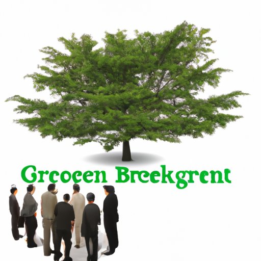Examining the Impact of the Green Tree Financial Buyout on the Economy