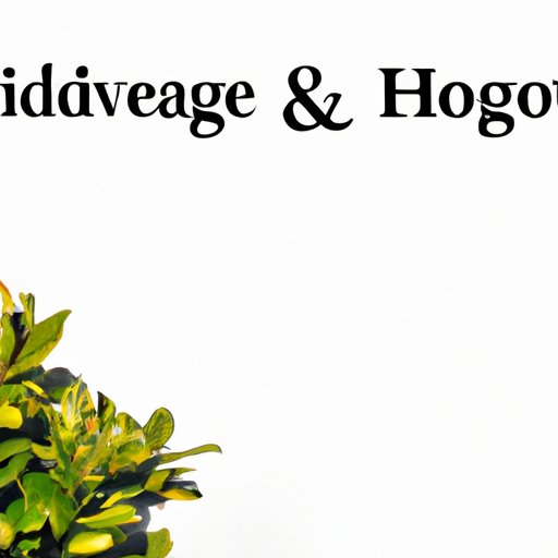 The Pros and Cons of Investing in Hedge Funds