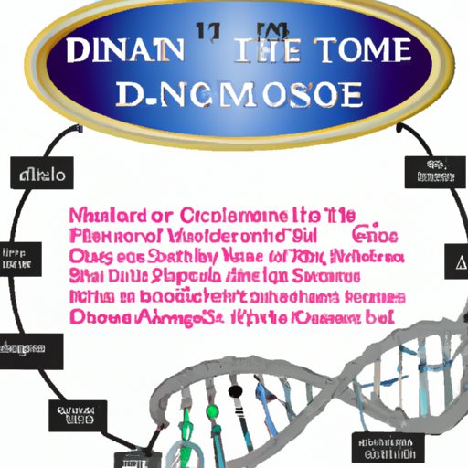Historical Overview of the Discovery of DNA